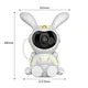 Rabbit Projector